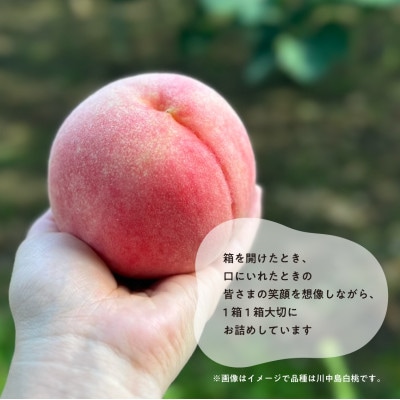 【2026年先行予約】「硬めの桃好きさん」におすすめ! 硬め桃 上級品 5-7玉(岡山県産)