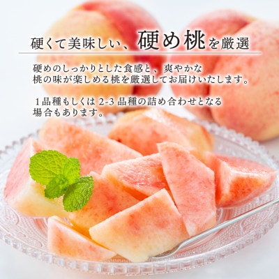 【2026年先行予約】「硬めの桃好きさん」におすすめ! 硬め桃 ご家庭用 5-7玉(岡山県産)