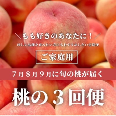 【発送月固定定期便】桃好きの為の、桃3回便!(家庭用5-7玉入)(岡山県産)全3回