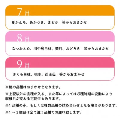【発送月固定定期便】桃好きの為の、桃3回便!(家庭用5-7玉入)(岡山県産)全3回