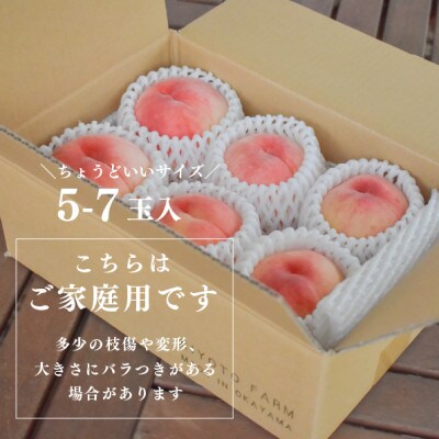 【発送月固定定期便】桃好きの為の、桃3回便!(家庭用5-7玉入)(岡山県産)全3回