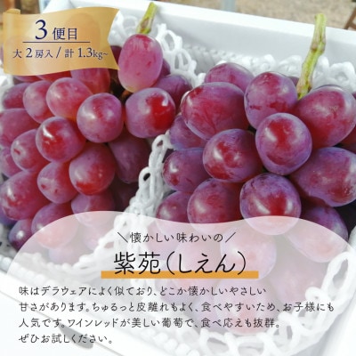 【発送月固定定期便】大房の葡萄が3種類も届く!葡萄好きの為の3回便!(岡山県産)全3回