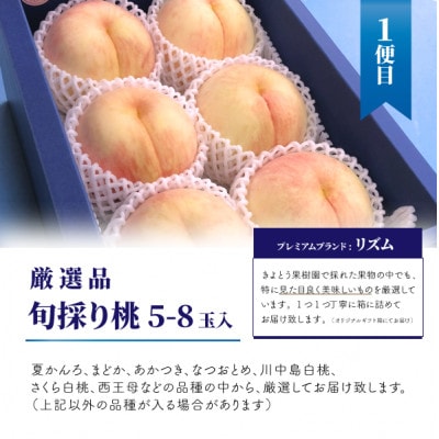 【発送月固定定期便】桃、ぶどう、梨の最上級品を旬にお届けする3回便!(岡山県産)全3回