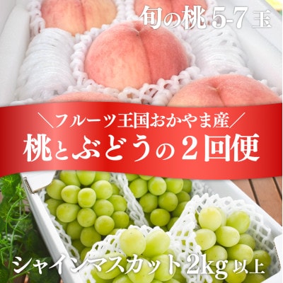 【発送月固定定期便】人気果物2種類が届く 桃とシャインの満足便!(岡山県産)全2回