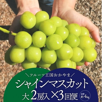 【発送月固定定期便】【きよとうファーム】シャインマスカットを楽しむ満足便!/全便計3.9kg～全3回