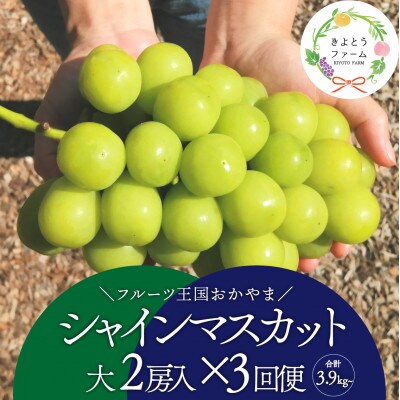 【発送月固定定期便】【2026年先行予約】シャインマスカットを楽しむ満足便/全便計3.9kg～全3回