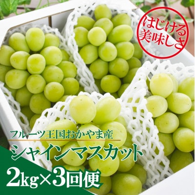 【発送月固定定期便】【きよとうファーム】シャインマスカットを楽しむ満足便!/全便計6.0kg～全3回