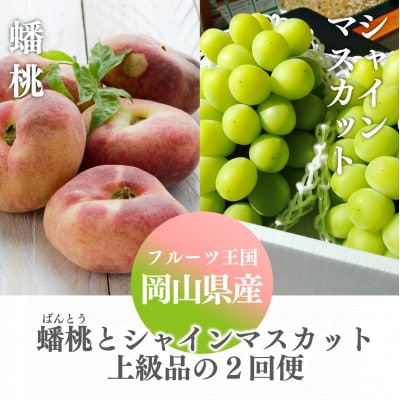 【発送月固定定期便】【きよとうファーム】蟠桃とシャインマスカットの上級品を岡山から産地直送全2回