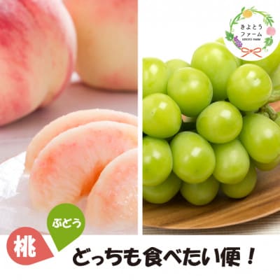 【発送月固定定期便】【きよとうファーム】桃と葡萄どっちも食べたい便!【お試し便】(岡山県産)全2回