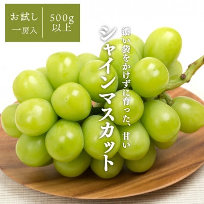 【発送月固定定期便】【きよとうファーム】桃と葡萄どっちも食べたい便!【お試し便】(岡山県産)全2回