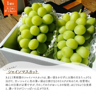 【発送月固定定期便】【きよとうファーム】シャインマスカット大2房と梨2-3種上級品(岡山県産)全2回