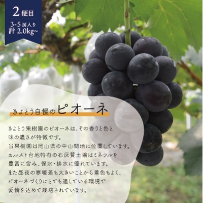 【発送月固定定期便】【2026年先行予約】桃、ピオーネ、シャインマスカット定期便 (岡山県産)全3回