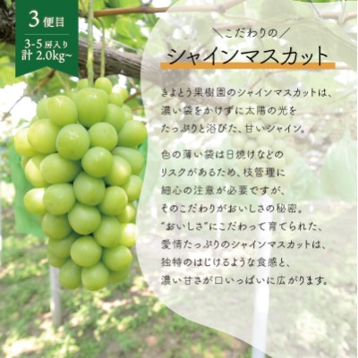 【発送月固定定期便】【2026年先行予約】桃、ピオーネ、シャインマスカット定期便 (岡山県産)全3回