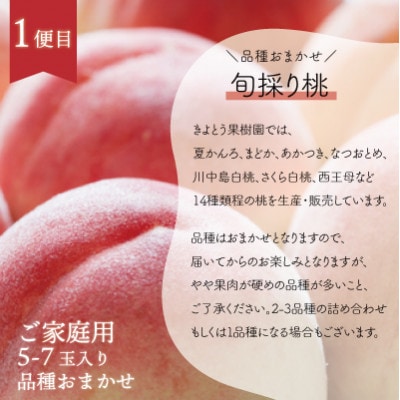 【発送月固定定期便】【2026年先行予約】旬採り桃とピオーネ、シャインマスカットが届く/岡山産全3回