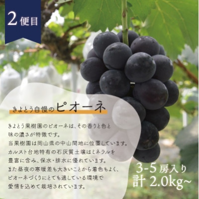 【発送月固定定期便】【2026年先行予約】旬採り桃とピオーネ、シャインマスカットが届く/岡山産全3回