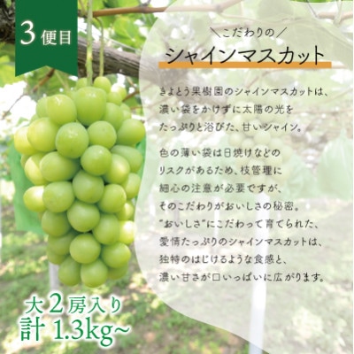 【発送月固定定期便】【2026年先行予約】旬採り桃とピオーネ、シャインマスカットが届く/岡山産全3回