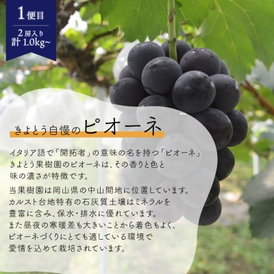 【発送月固定定期便】ピオーネとシャインマスカットお試し便 (岡山県産)全2回