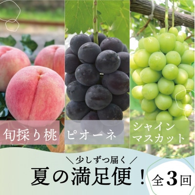 【発送月固定定期便】【2026年先行予約】桃、ピオーネ、シャインマスカットの満足便(岡山県産)全3回