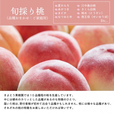 【発送月固定定期便】【2026年先行予約】桃、ピオーネ、シャインマスカットの満足便(岡山県産)全3回