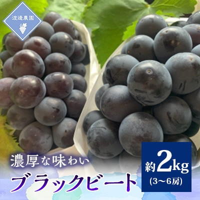 【先行予約 2026年発送】岡山県産　アントシアニン豊富な　ブラックビート3房～6房(合計約2kg)