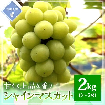 【先行予約 2025年発送】岡山県産　シャインマスカット　3房～5房(合計2kg)