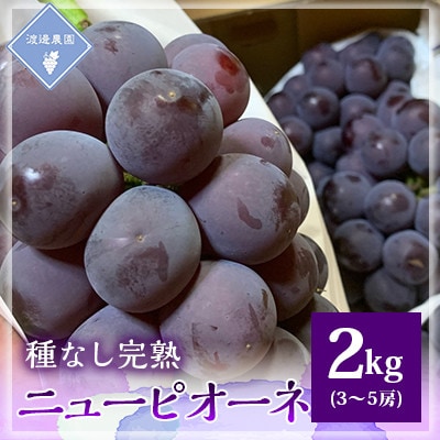 【先行予約 2025年発送】岡山県産　種なし完熟 ニューピオーネ　3房～5房(合計2kg)