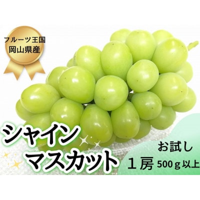【2025年先行受付】お試しフルーツ王国岡山シャインマスカット500g以上!　朝採れぶどう1房