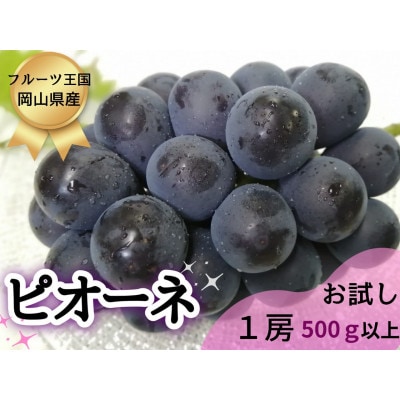 【2025年先行受付】お試し品フルーツ王国岡山の人気ぶどう　ピオーネ1房500g以上!