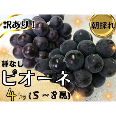 【2025年先行受付】訳あり岡山県産ピオーネ4kg