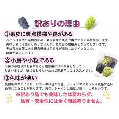 【2025年先行受付】訳あり岡山県産ピオーネ1.2kg