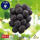 岡山　花笑み農園の『訳ありニューピオーネ』2kg　WP-2【2025年9月～順次発送】