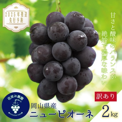 岡山　花笑み農園の『訳ありニューピオーネ』2kg　WP-2【2025年9月～順次発送】