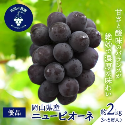 【2026年先行受付】岡山　花笑み農園の『ニューピオーネ』優品　約2kg(3～5房)　P-2優