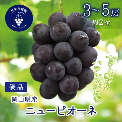 【2026年先行受付】岡山　花笑み農園の『ニューピオーネ』優品　約2kg(3～5房)　P-2優
