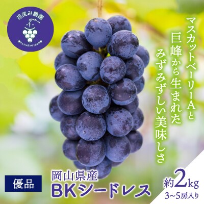 【2026年先行受付】岡山　花笑み農園の『BKシードレス』優品　約2kg(3～5房)　B-2優