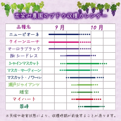 【2026年先行受付】岡山　花笑み農園の『BKシードレス』優品　約2kg(3～5房)　B-2優