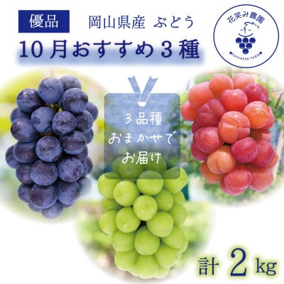 岡山　花笑み農園のブドウ『10月おすすめ 3種』約2kg(3房)優品　3M-2L優【10月～発送】