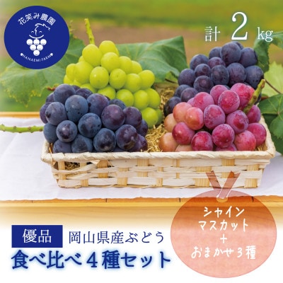 岡山　花笑み農園のブドウ『食べ比べ4種』シャイン入り2kg(4房)優品　4M-2優【9月中旬～出荷】
