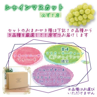岡山　花笑み農園のブドウ『食べ比べ4種』シャイン入り2kg(4房)優品　4M-2優【9月中旬～出荷】