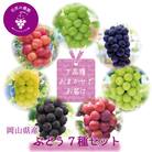 岡山　花笑み農園のブドウ『食べ比べ7種セット』　7M-5　【9月下旬～順次発送】