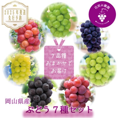 岡山　花笑み農園のブドウ『食べ比べ7種セット』　7M-5　【9月下旬～順次発送】