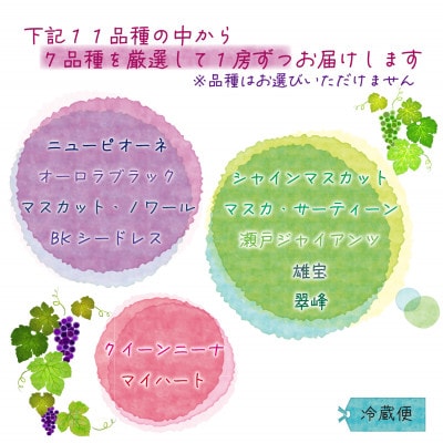岡山　花笑み農園のブドウ『食べ比べ7種セット』　7M-5　【9月下旬～順次発送】