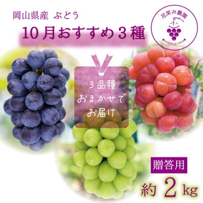 岡山　花笑み農園のブドウ『10月おすすめ3種セット』(3房)贈答用　3M-2L上【10月～順次発送】