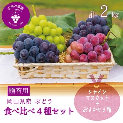 岡山　花笑み農園の『食べ比べ4種セット』シャイン入り(4房)贈答用　4M-2上【9月中旬～順次発送】