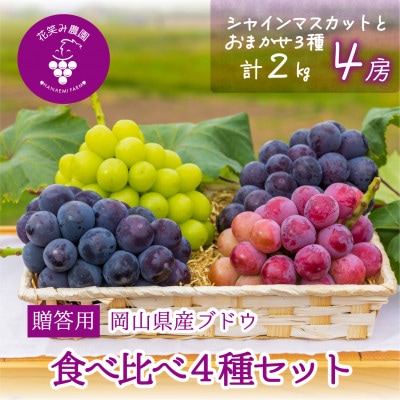 【2026年先行受付】岡山　花笑み農園の『食べ比べ4種』シャイン入り　贈答用　2kg(4房)4M-2