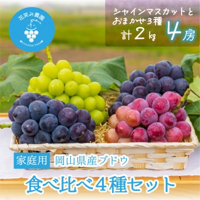 【2026年先行受付】岡山　花笑み農園の『食べ比べ4種』シャイン入り　家庭用　2kg(4房)4M-2