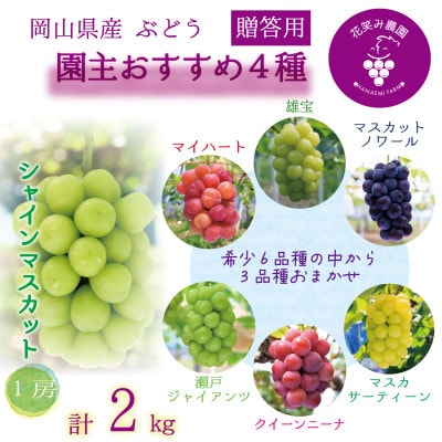 岡山　花笑み農園の『園主おすすめぶどう4種セット』(4房)贈答用　4M-2R上【9月下旬～順次発送】