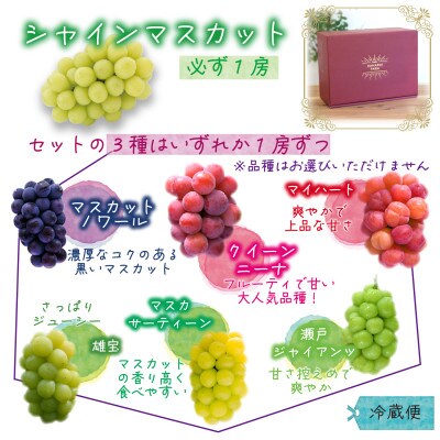 岡山　花笑み農園の『園主おすすめぶどう4種セット』(4房)贈答用　4M-2R上【9月下旬～順次発送】