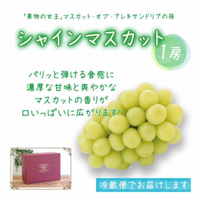 岡山　花笑み農園の『園主おすすめブドウ4種セット』贈答用　2kg　4M-2R上【9月中旬～順次発送】