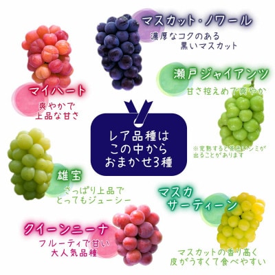 岡山　花笑み農園の『園主おすすめブドウ4種セット』贈答用　2kg　4M-2R上【9月中旬～順次発送】
